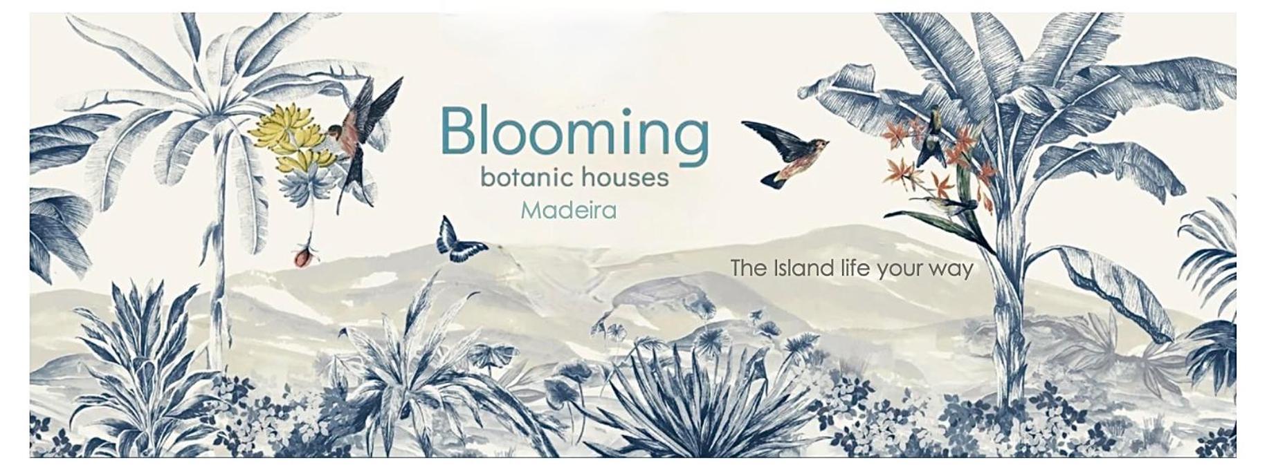 Blooming Botanic Houses Estreito Da Calheta Eksteriør bilde