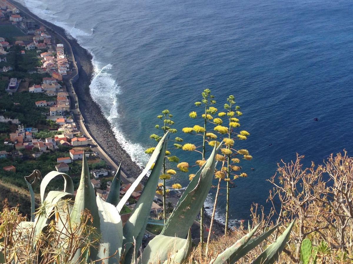 Blooming Botanic Houses Estreito Da Calheta Eksteriør bilde
