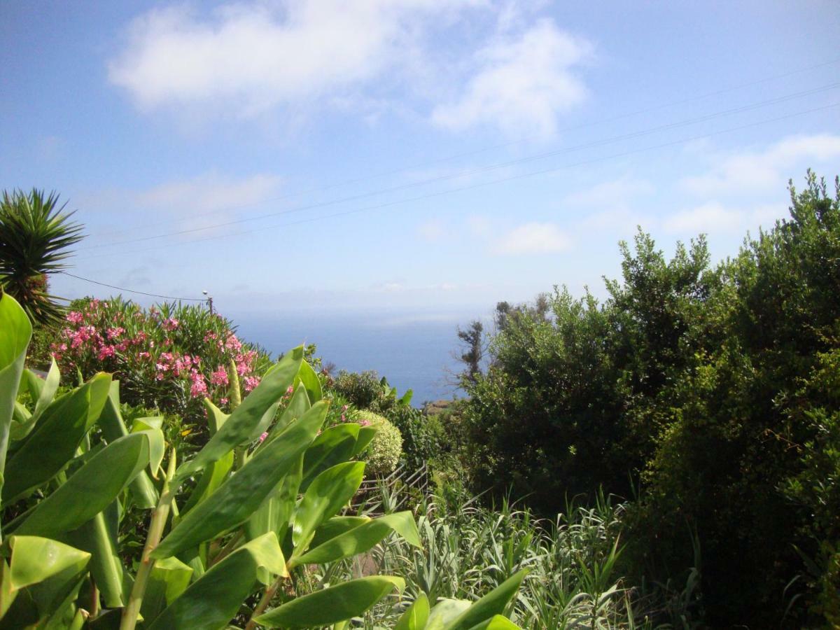 Blooming Botanic Houses Estreito Da Calheta Eksteriør bilde