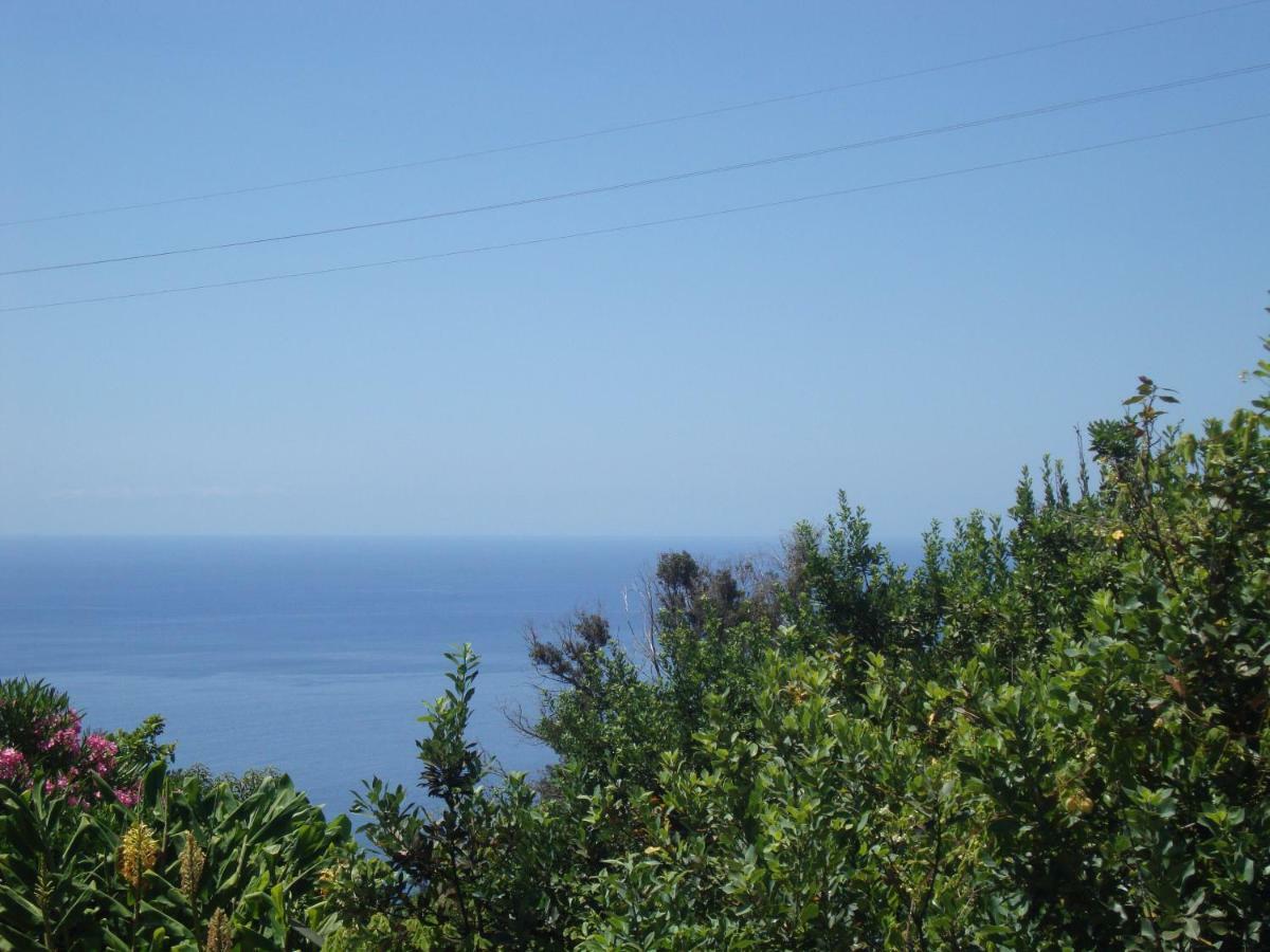Blooming Botanic Houses Estreito Da Calheta Eksteriør bilde