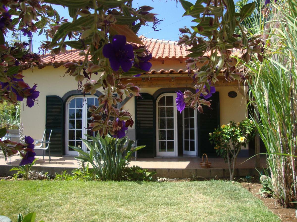 Blooming Botanic Houses Estreito Da Calheta Eksteriør bilde